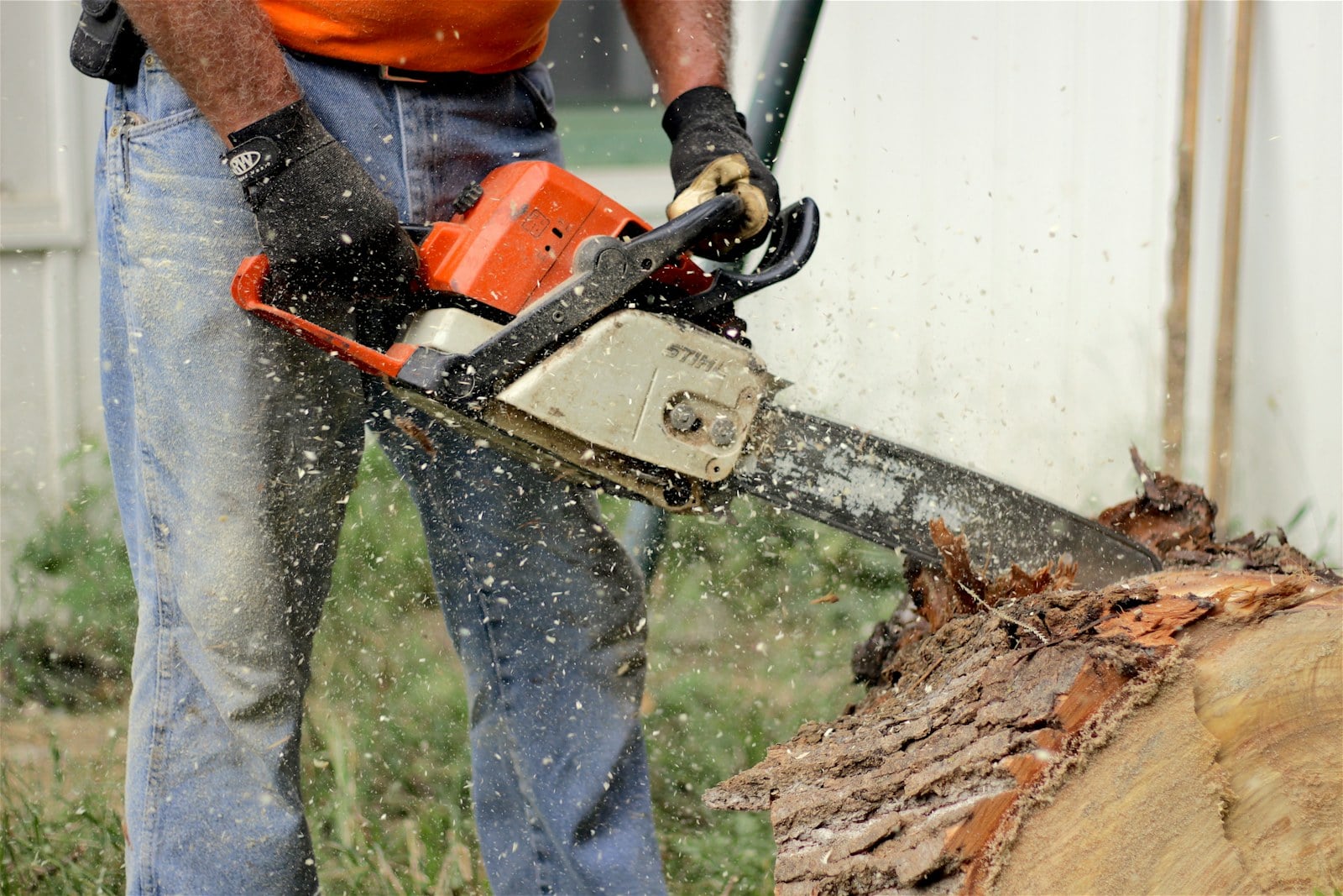 Chainsaw Safety - Training online safety training